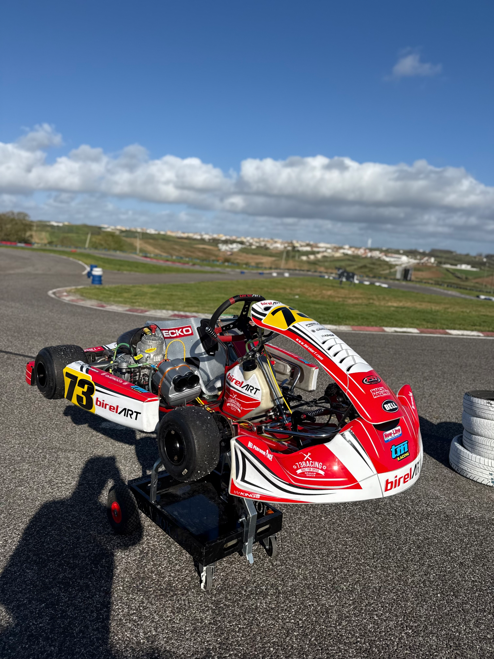 Birel KZ TMR1 — 3